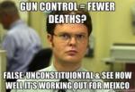 Gun control idiot